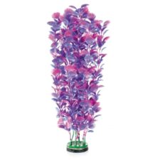 amazonas fantasy plant m blau violett