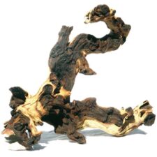 amazonas mopani eisenholz