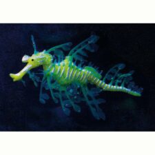 aquarium deko floating drachen