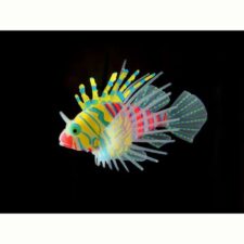 aquarium deko floating feuerfisch