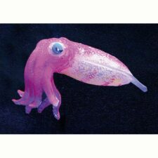 aquarium deko floating tintenfisch