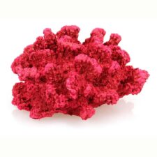 aquarium deko koralle rot kp015 2 085a 11x10 2x6 3cm