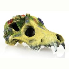 aquarium deko schaedel