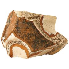 aquarium dekoration picture jasper