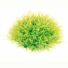 aquarium gras dekoration hellgruen